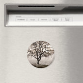 Aimant froid et charmant (In Situ (Lave-vaisselle))