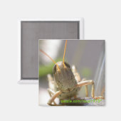 Aimant Fromage ! (Recto/Verso)