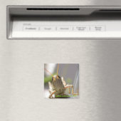 Aimant Fromage ! (In Situ (Lave-vaisselle))