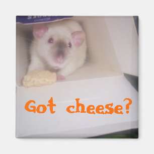 Aimant Fromage obtenu ?
