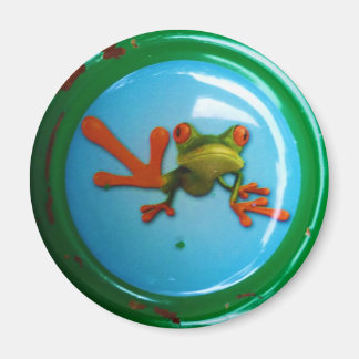 Aimant Frosch
