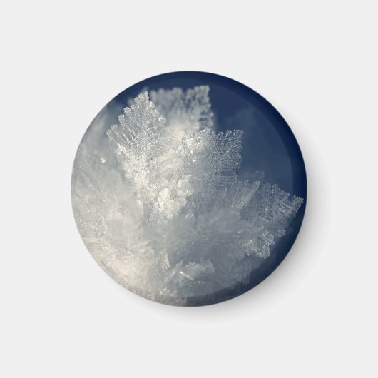 Aimant Frost (Devant)