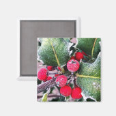 Aimant Frosty Holly (Recto/Verso)