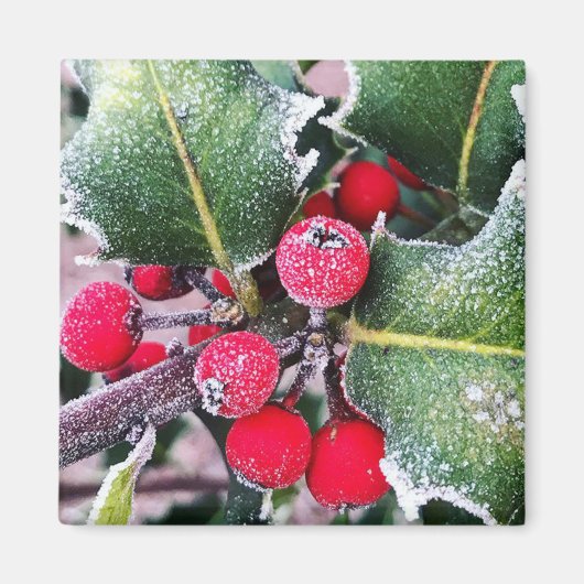 Aimant Frosty Holly (Devant)