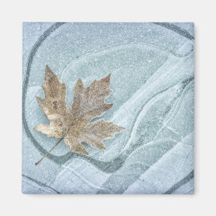 Aimant Frosty Maple Leaf Frozen on Ice