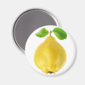 Aimant Fruit de coing (Recto/Verso)
