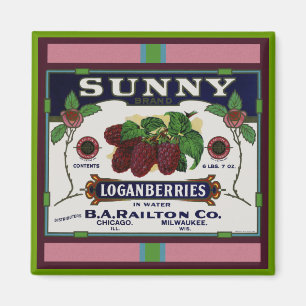 Aimant Fruit de Loganberry