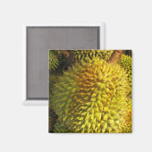 Aimant Fruit durian (Recto/Verso)