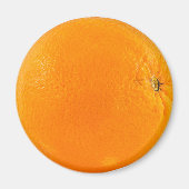 Aimant Fruit orange (Devant)