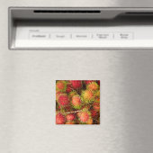 Aimant Fruit Rambutan au marché Can Duoc (In Situ (Lave-vaisselle))