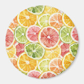 Aimant Fruits Citriques Lime Citron Orange Pamplemousse (Devant)