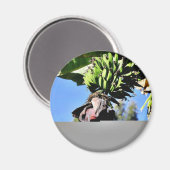 Aimant Fruits de bananes (Recto/Verso)
