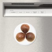 Aimant Fruits de châtaignes sucrés (In Situ (Lave-vaisselle))