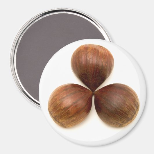 Aimant Fruits de châtaignes sucrés (Recto/Verso)