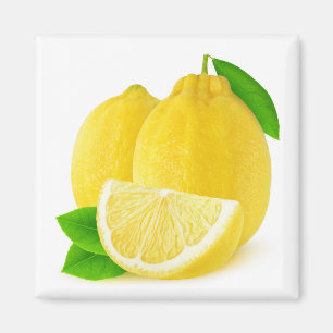 Aimant Fruits de citron