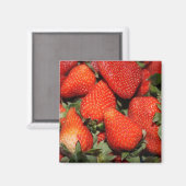 Aimant fruits de fraise rouge (Recto/Verso)