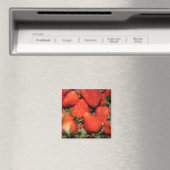 Aimant fruits de fraise rouge (In Situ (Lave-vaisselle))