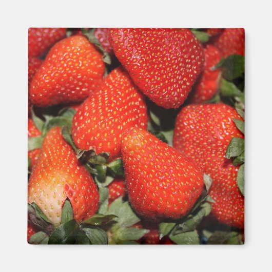 Aimant fruits de fraise rouge (Devant)