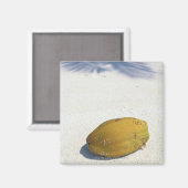 Aimant Fruits de palme (Recto/Verso)