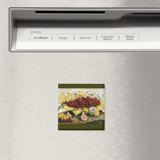 AIMANT FRUITS DE SAISON / CHERRIES ET CARNATIONS (In Situ (Lave-vaisselle))