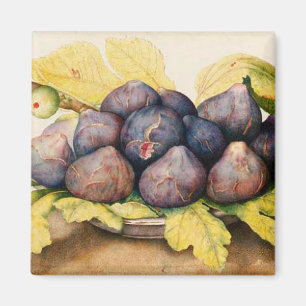 AIMANT FRUITS DE SAISON / PLAQUE AUX FIGUES ET FEUILLES V