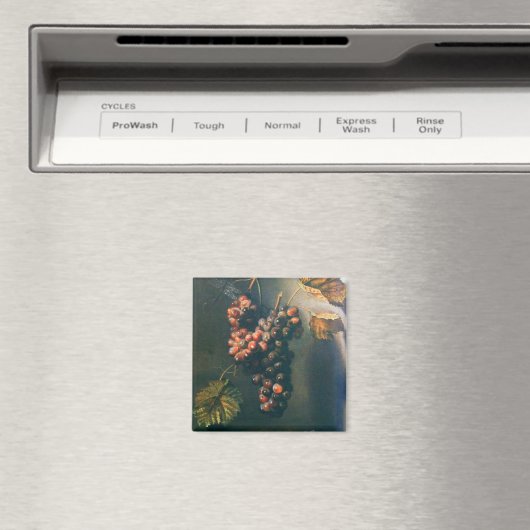 Aimant FRUITS DE SAISON -PROSPÉRITÉ HANGÉE RAISONS Rustiq (In Situ (Lave-vaisselle))