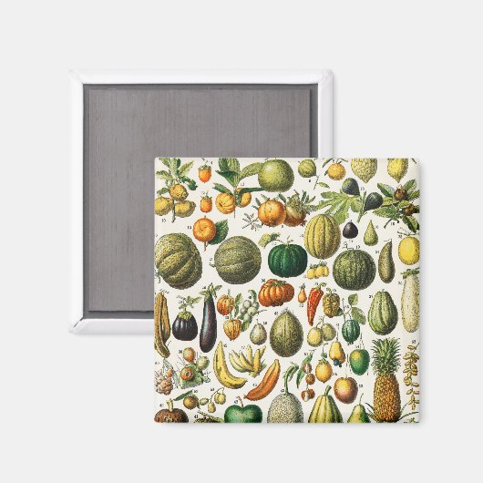 Aimant Fruits et légumes (Recto/Verso)