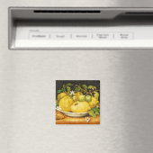 AIMANT FRUITS. LÉMONS ET FLEURS BLANCHES (In Situ (Lave-vaisselle))