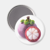 Aimant Fruits mangoustés (Recto/Verso)