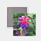 Aimant Fuchsia 'Blue Eyes' (Recto/Verso)