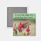 Aimant Fuchsias sauvages (Recto/Verso)