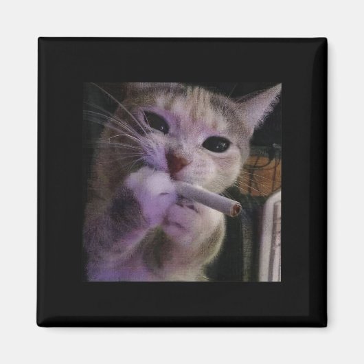 Aimant Fumer drôle Chat, Cigarette Kitty Gen Z Mème, Chat (Devant)