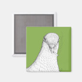 Aimant Fumer le magnétisme de pigeon | Bizarre, Quirky et (Recto/Verso)
