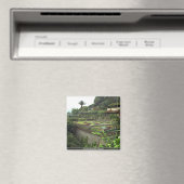 Aimant Funchal, Madère, Portugal (In Situ (Lave-vaisselle))