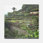 Aimant Funchal, Madère, Portugal (Devant)
