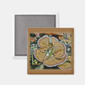 Aimant Fungus de la plate-forme pourpre Coordonner les él (Recto/Verso)