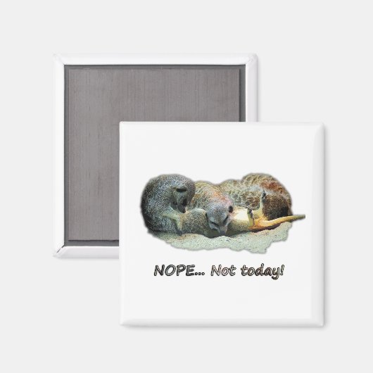 Aimant Funny (Recto/Verso)