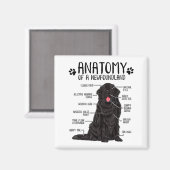 Aimant Funny Anatomy Newfoundland Dog Cute Newfie Lover (Recto/Verso)