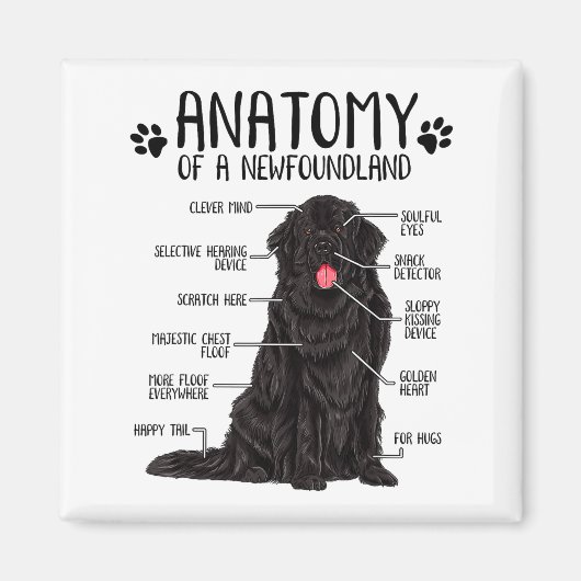Aimant Funny Anatomy Newfoundland Dog Cute Newfie Lover (Devant)