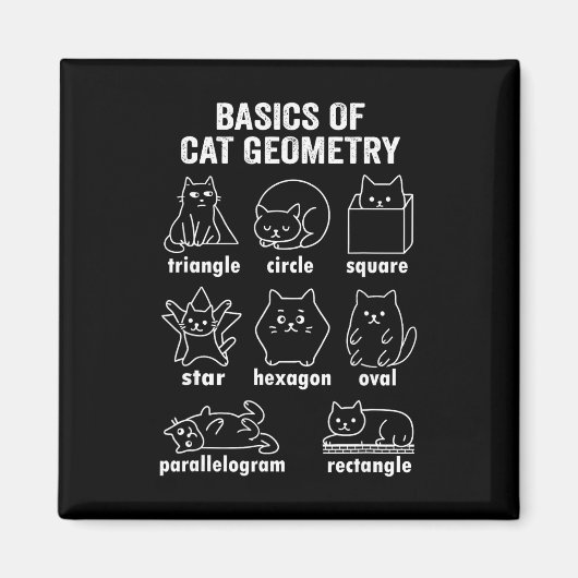Aimant Funny Bysics Of Cat Geometry Byck To School Math T (Devant)