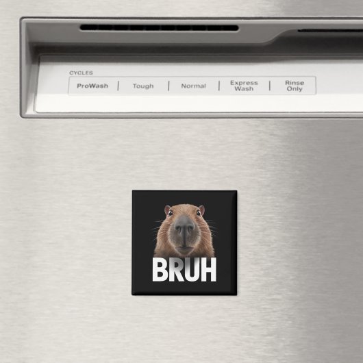 Aimant Funny Capybara Bruh (In Situ (Lave-vaisselle))