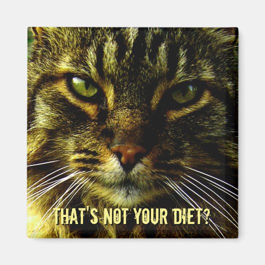 Aimant Funny Cat Diet Guard (Devant)