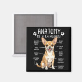 Aimant Funny Chihuahua Anatomy Of A Chihuahua Dog Owner P (Recto/Verso)