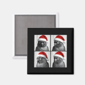 Aimant Funny Christmas Green Cheek Conure Santa Photo Boo (Recto/Verso)