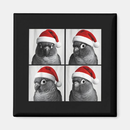 Aimant Funny Christmas Green Cheek Conure Santa Photo Boo (Devant)