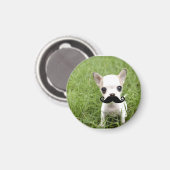 Aimant Funny Cute Chihuahua avec Moustache (Recto/Verso)