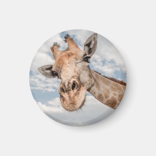 Aimant Funny Giraffe (Devant)