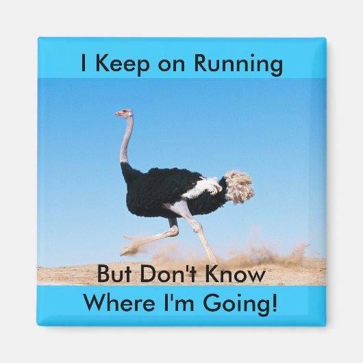 Aimant Funny Keep on Running Ostrich Photo (Devant)