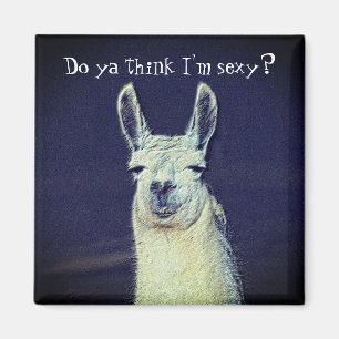 Aimant Funny Llama Face Animal 