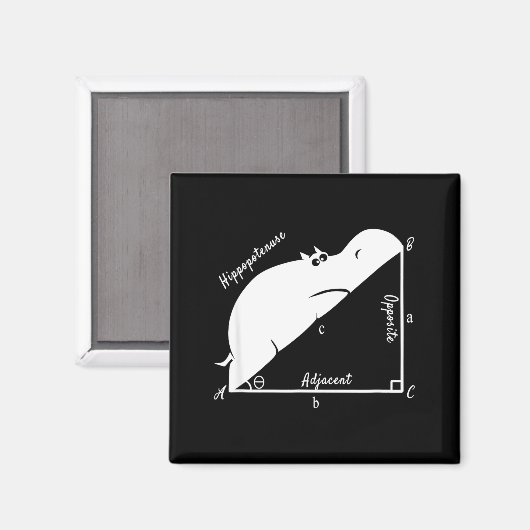 Aimant Funny Math Teacher,funny Hiptenuse,geometry Teache (Recto/Verso)